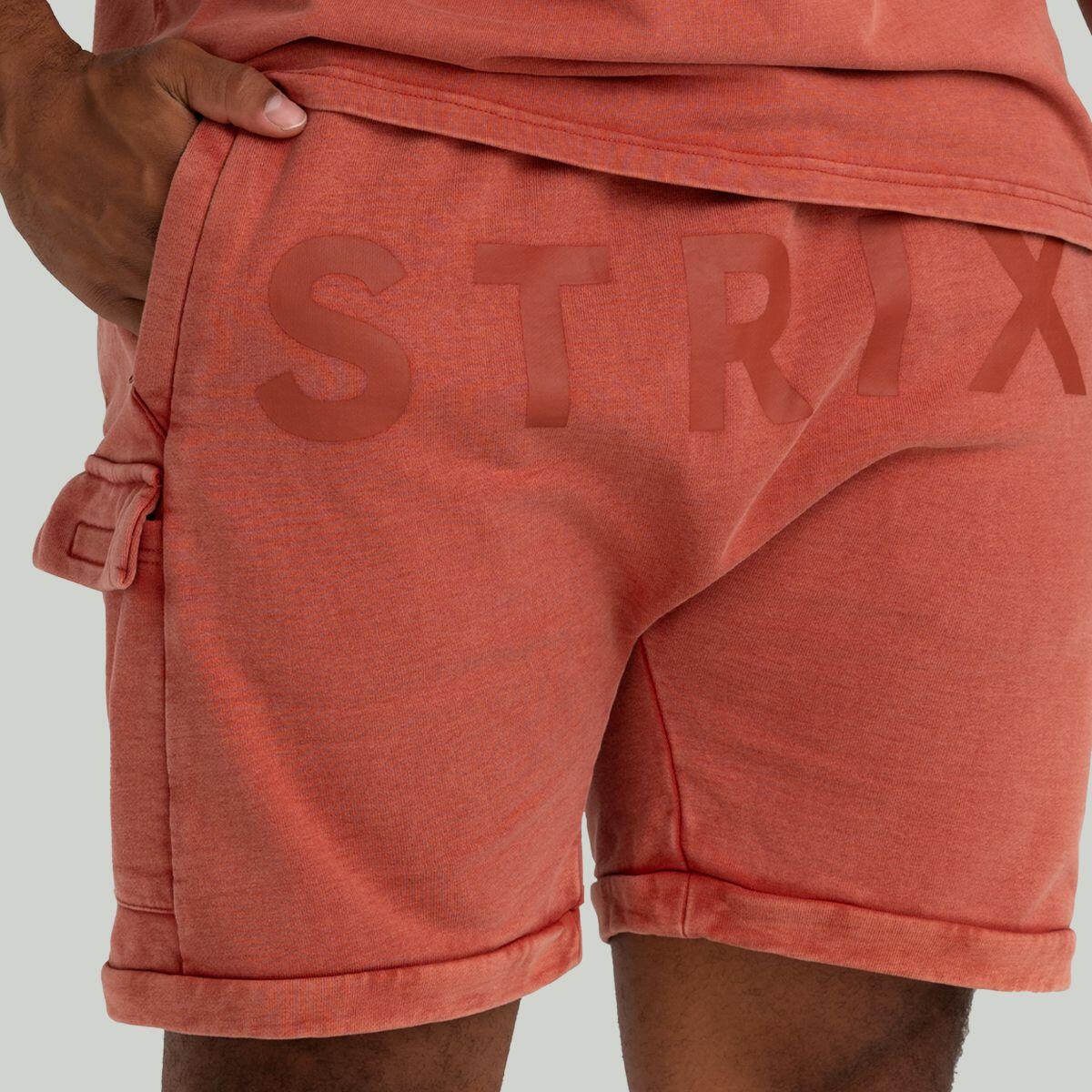 Uomo fitness pantaloncini traspiranti Terra Slavati 2/6