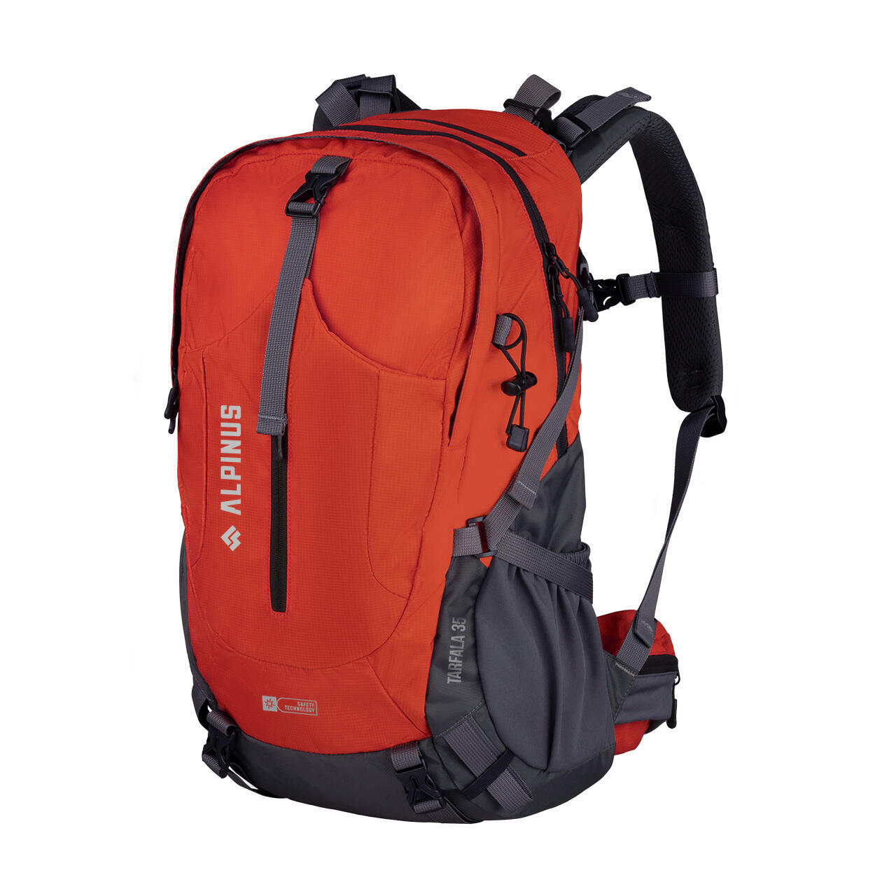 ALPINUS picture