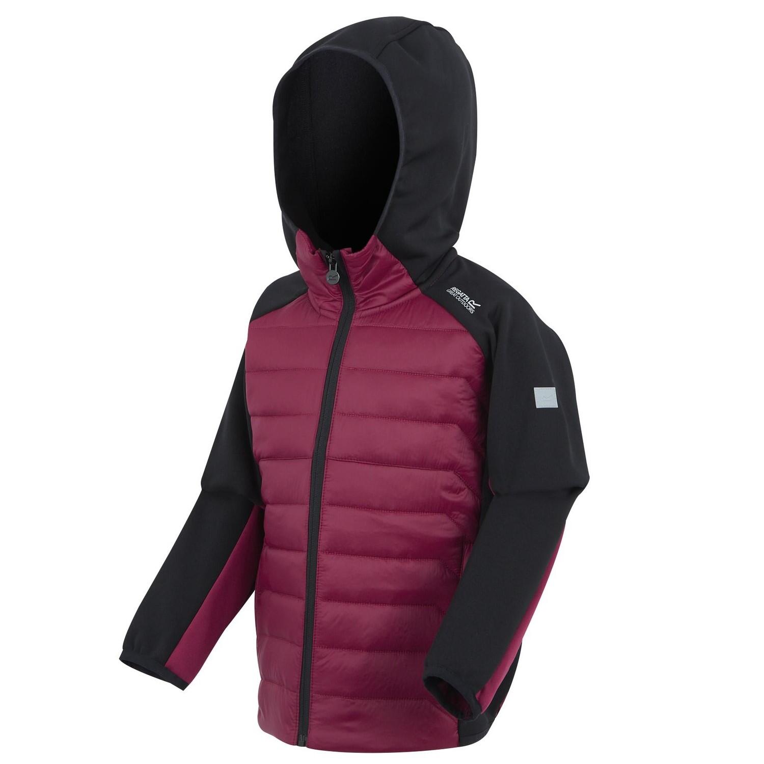 REGATTA picture