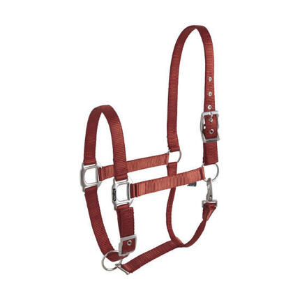 Licol 'éclat' bordeaux EQUITHÈME pour cheval