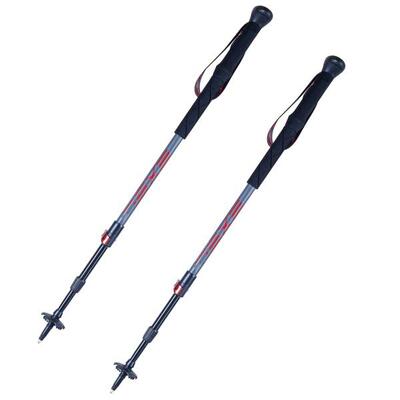 Bastoncini da trekking GIANT CARBON