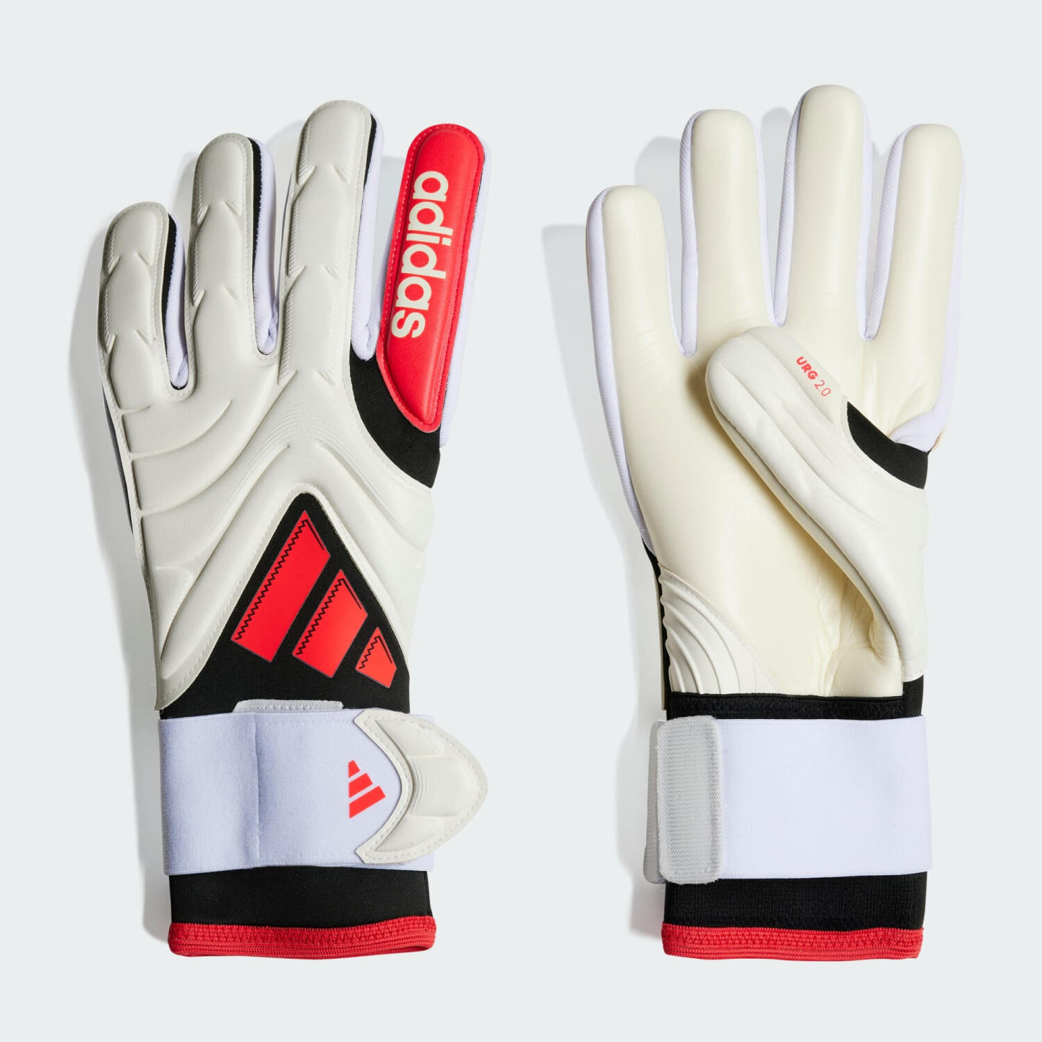 ADIDAS picture