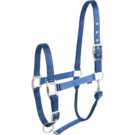 Licol 'éclat' bleu EQUITHÈME pour cheval