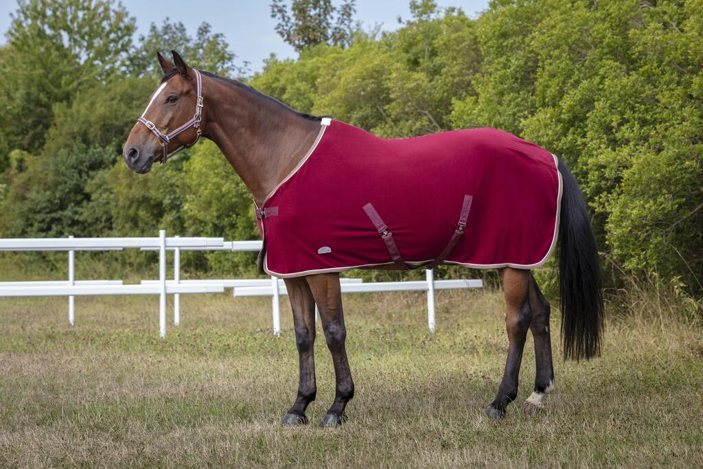 EQUITHÈME picture