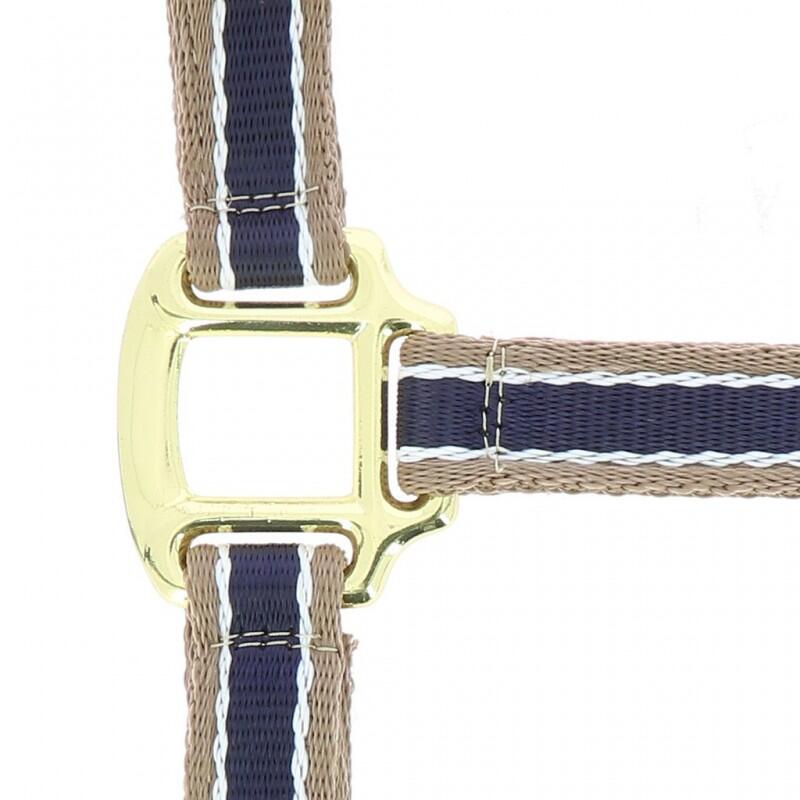 Licol polyfun bleu marine EQUITHEME pour cheval 2/2