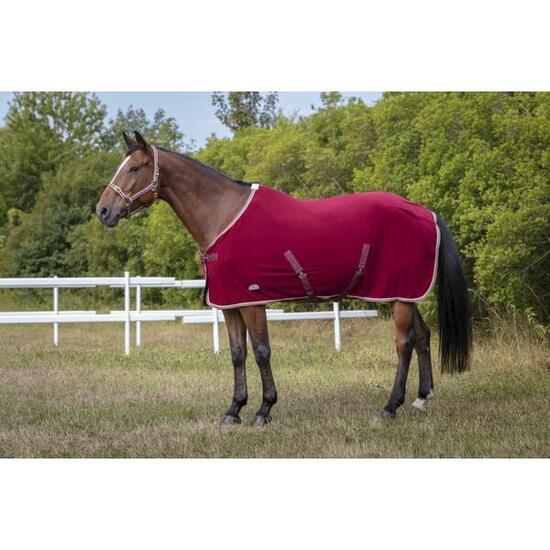 Licol polyfun bordeaux EQUITHEME pour pur-sang