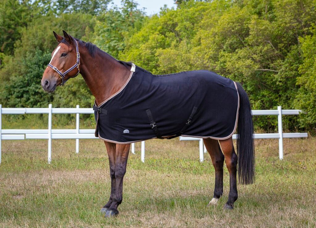 Licol polyfun bleu marine EQUITHEME pour cheval 1/2