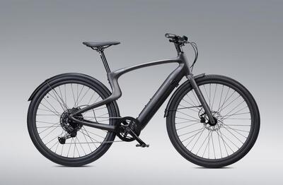 Luxe e-bike voor heren met volledig carbon frame