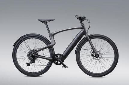 Herren Luxus E-Bike mit Vollcarbonrahmen