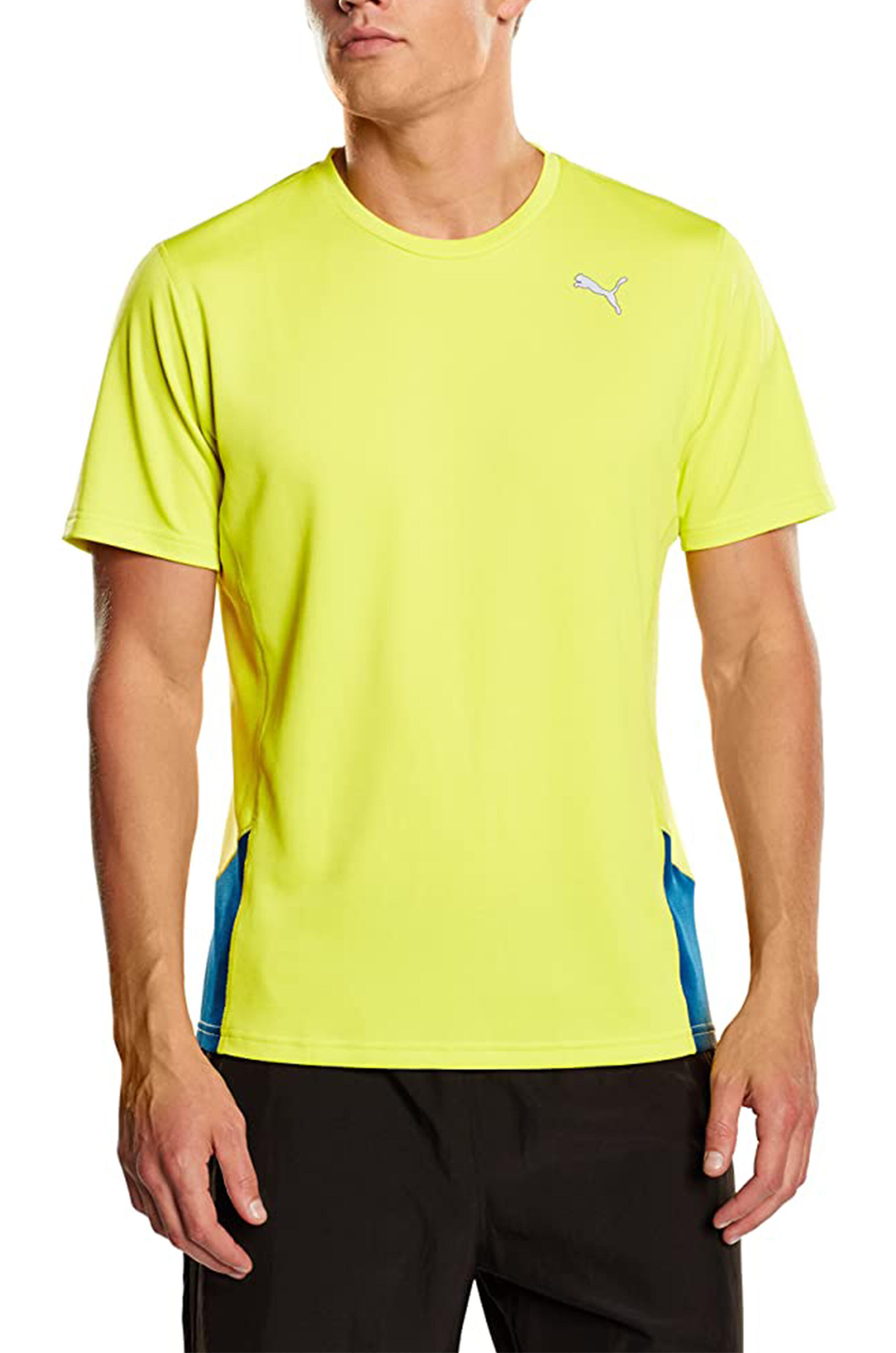 PUMA picture