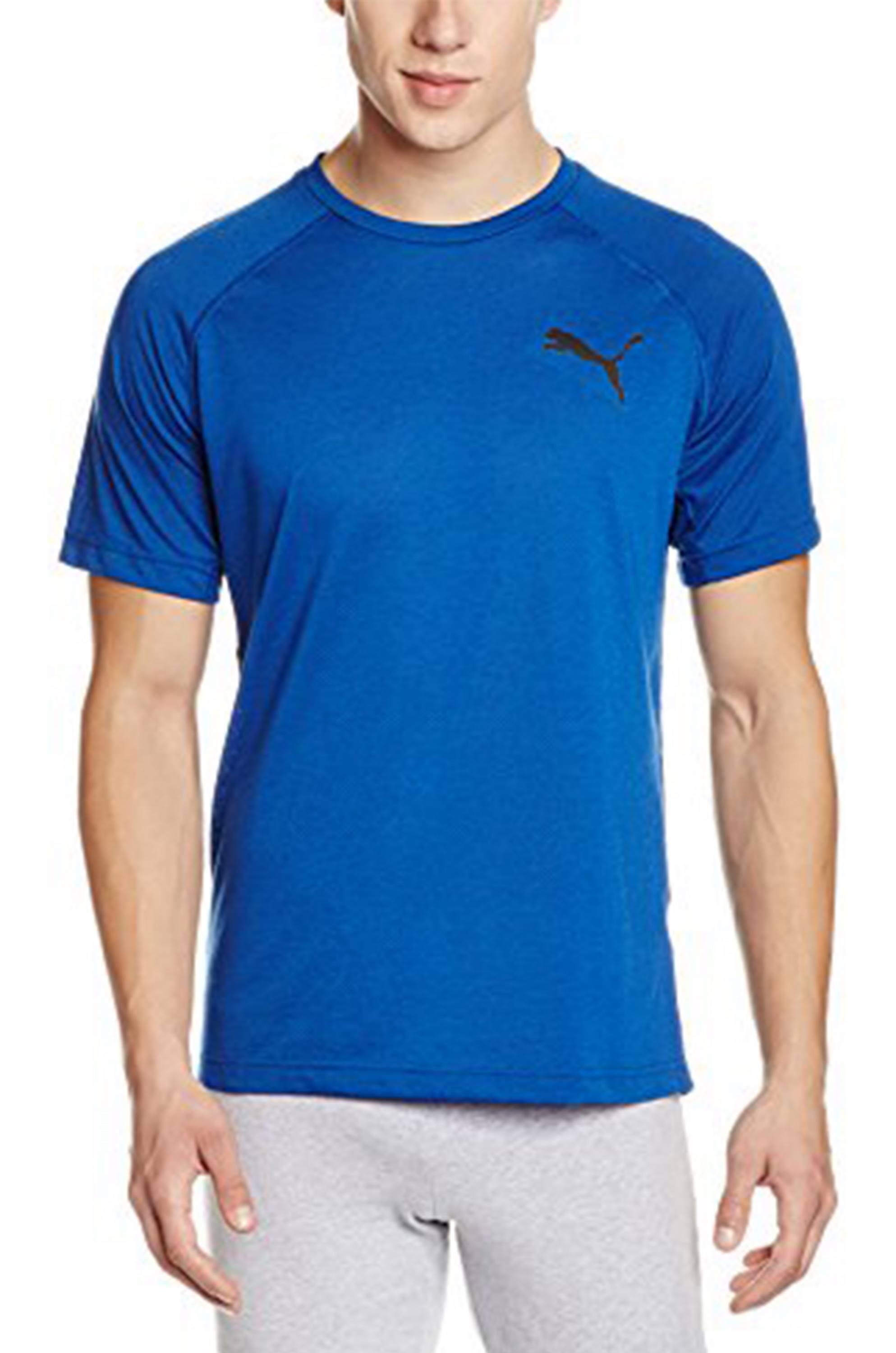 PUMA picture