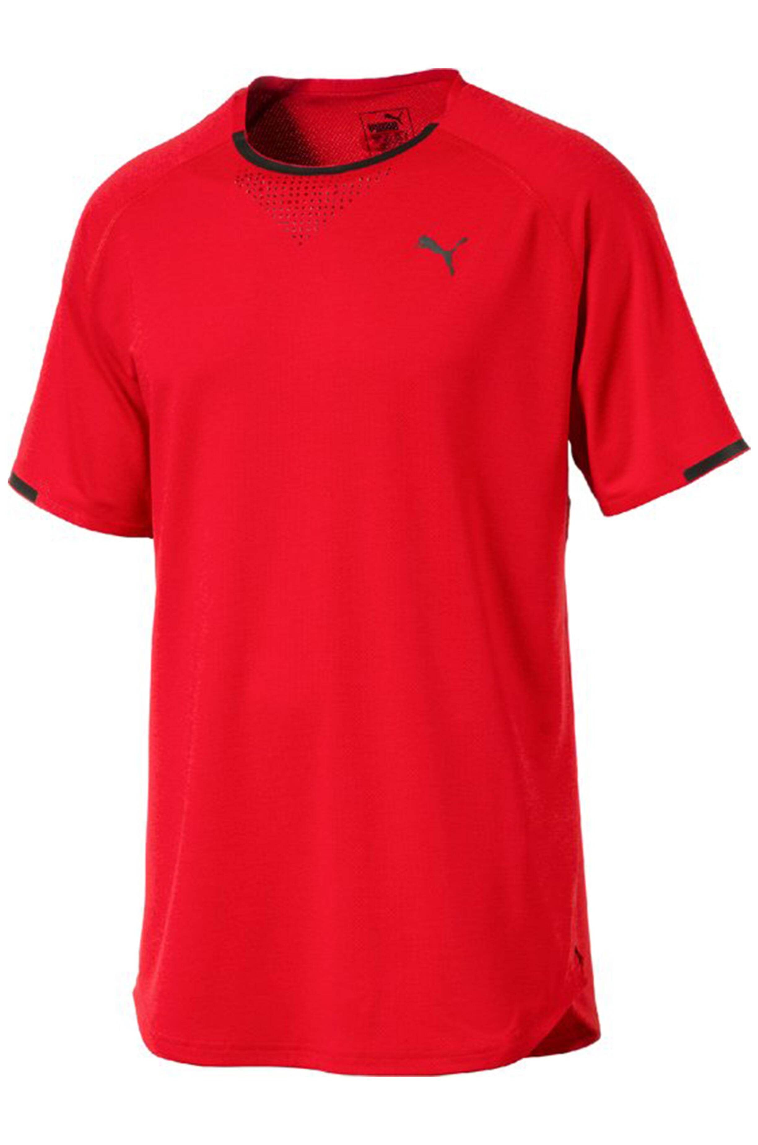 PUMA picture