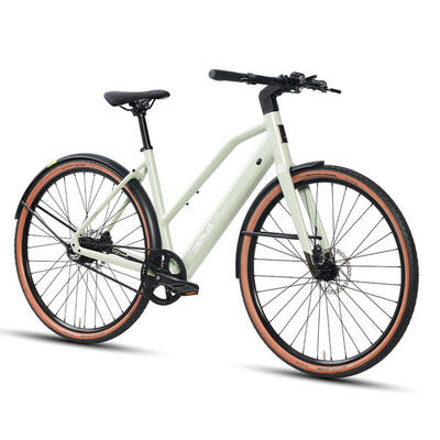 Turmali s e-bike 36v 250w 35nm 360wh 110km licht, gates carbon drive