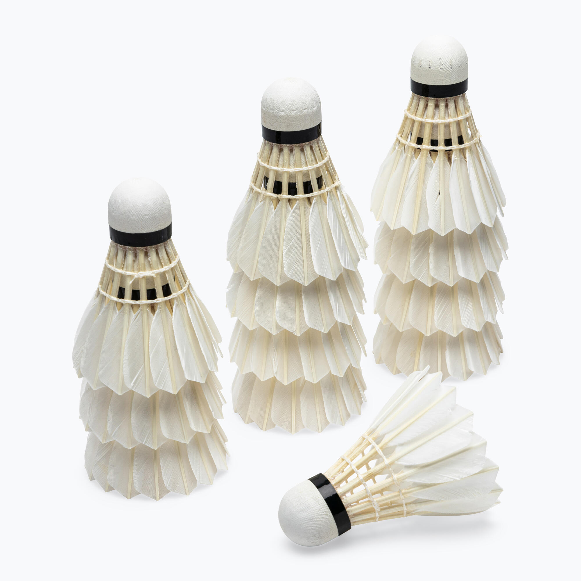 Plumes de badminton Babolat 3 12 3/7