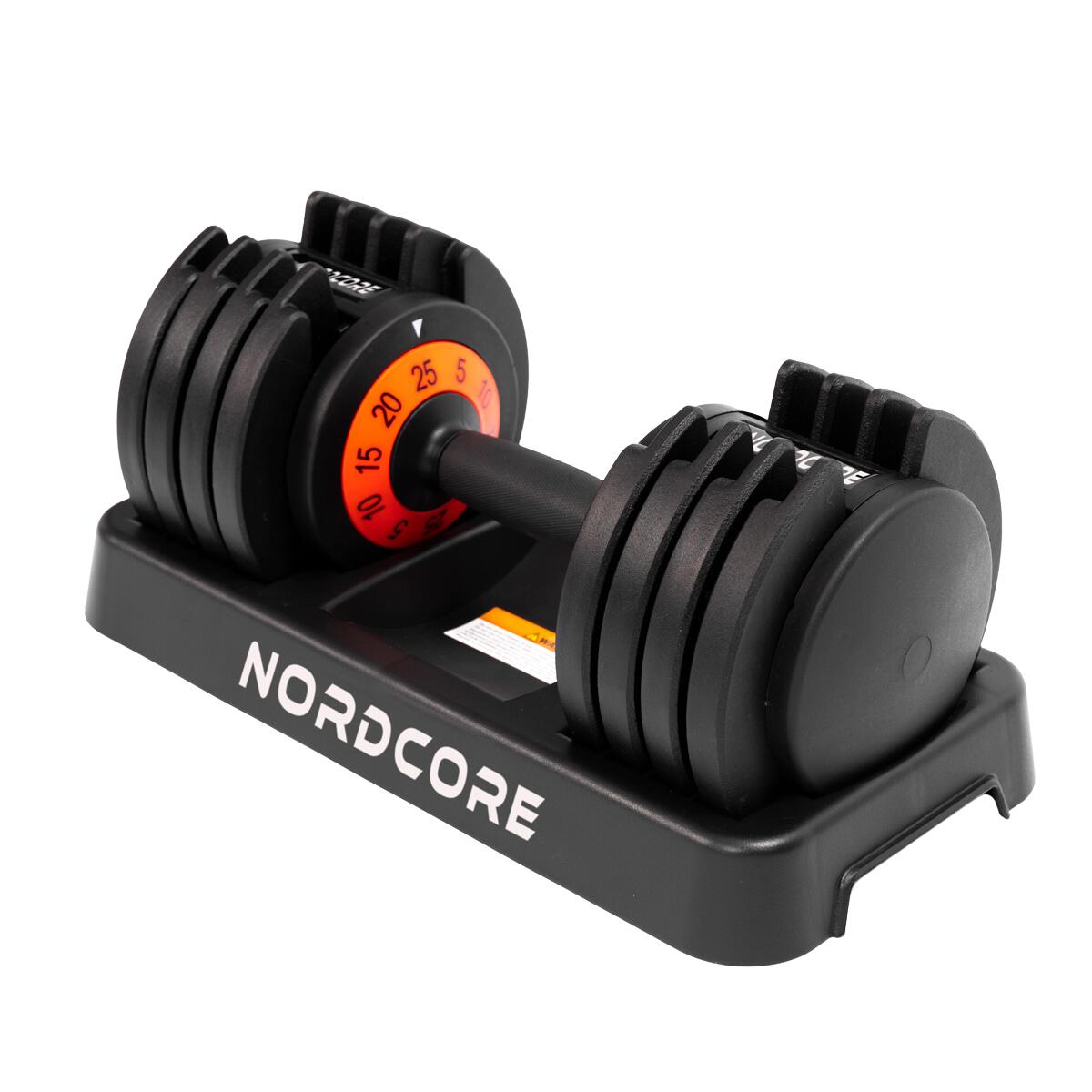 CORE picture