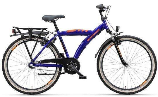 Batavus Snake 26, blauw 2/2