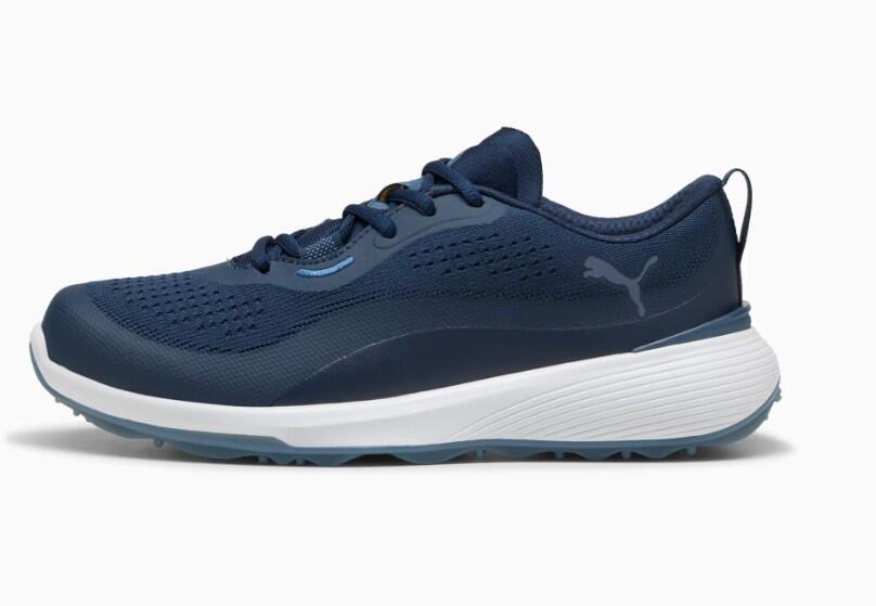 PUMA picture