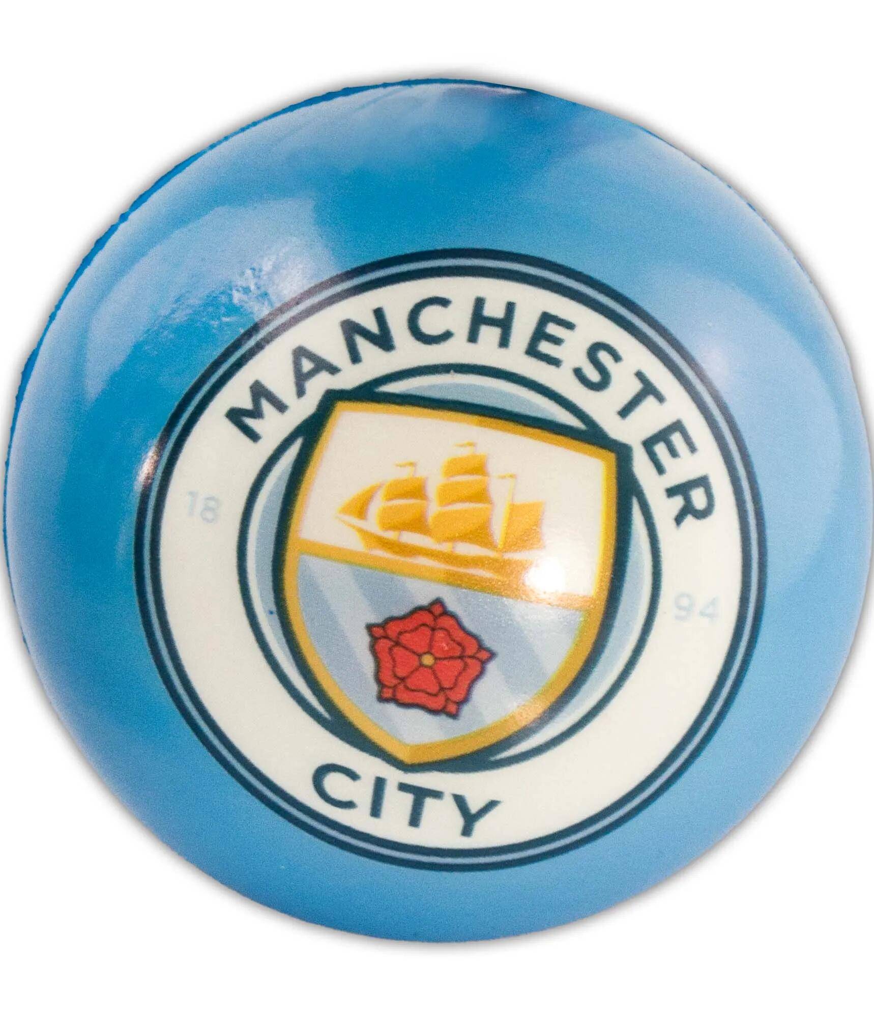 MANCHESTER CITY picture