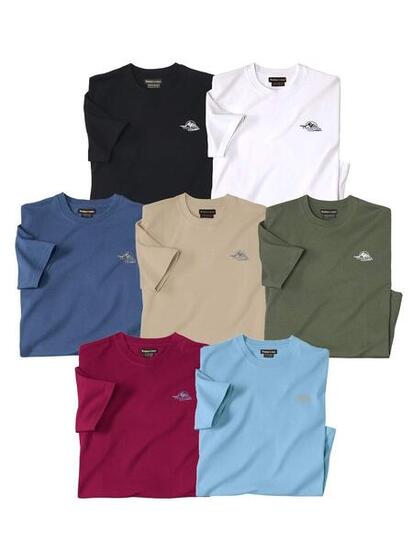 Lot de 7 Tee-Shirts Expédition