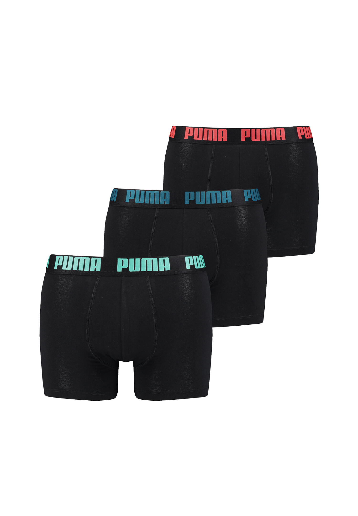 PUMA picture