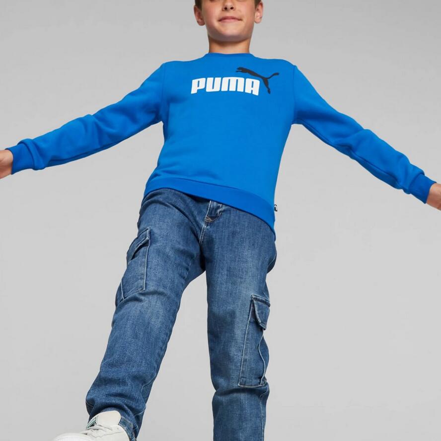 Bluza dziecięca sportowa PUMA ESS BIG LOGO 586986-48 2/5