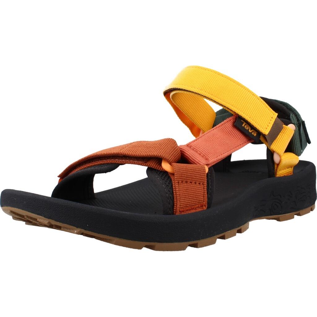 TEVA picture