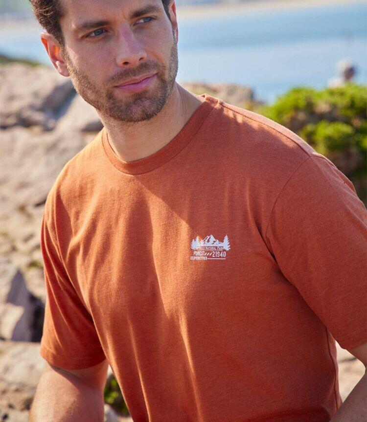 Lot de 4 Tee-Shirts en Coton Forest Expedition 5/6