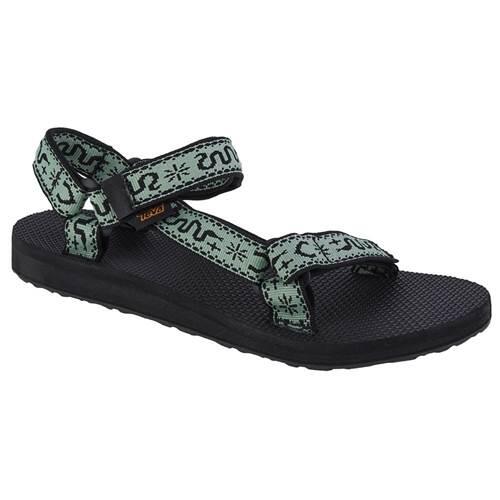 TEVA picture