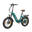 Bicicletă electrică TTGO F8 din fibră de carbon, baterie ascunsă de 48V 18Ah