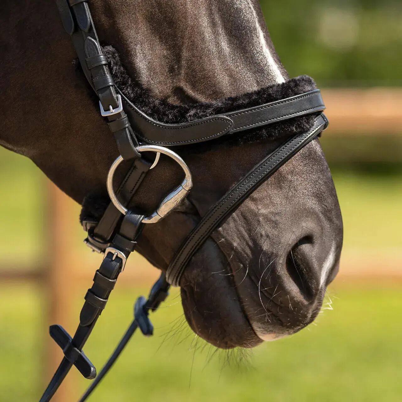 Briglia da equitazione QHP Sensisoft 7/7