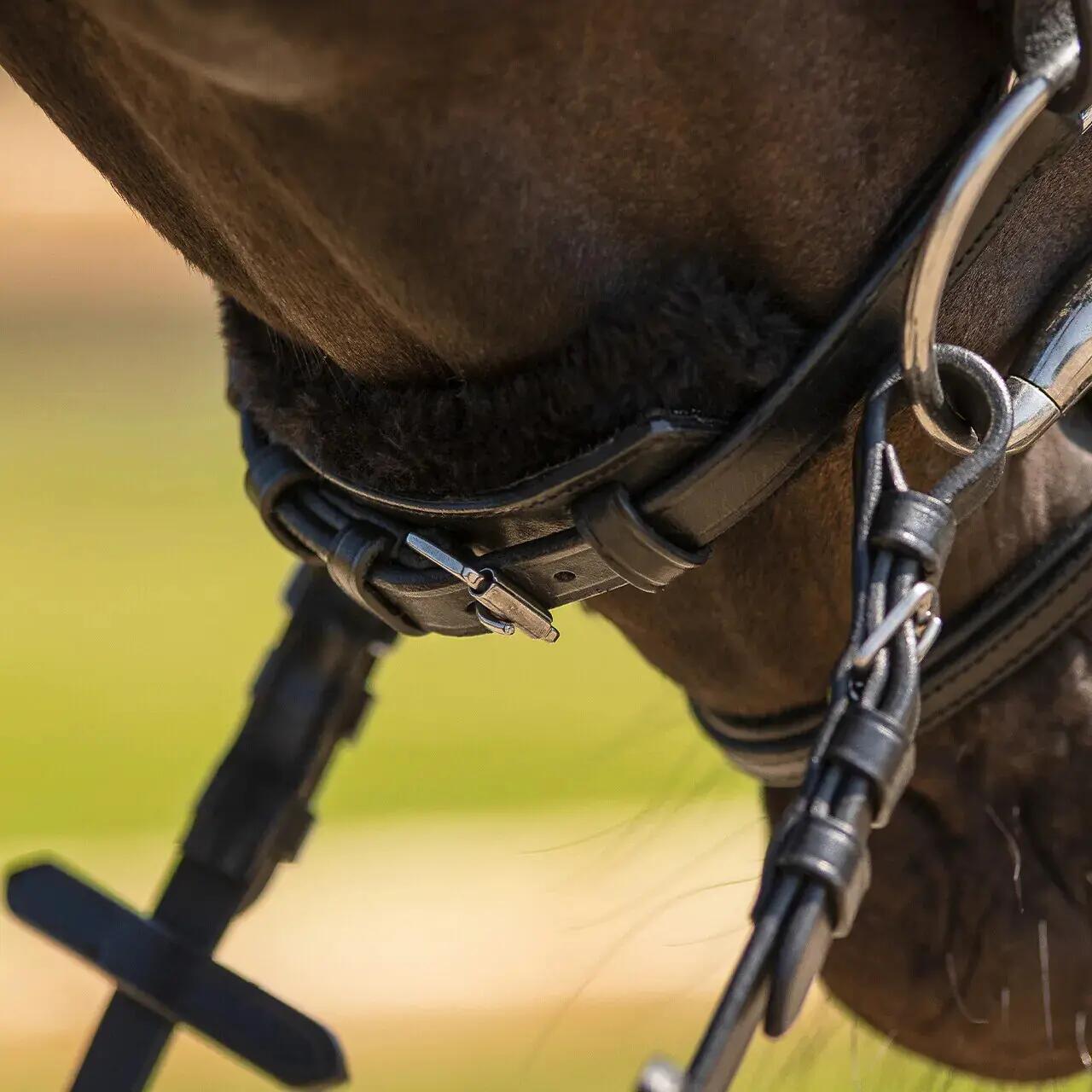 Briglia da equitazione QHP Sensisoft 6/7