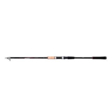 Canne Shimano Sienna AR TEGT Glued 10-30g
