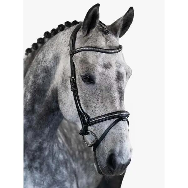 Briglia da equitazione PS of Sweden Amsterdam 2.0 2/3