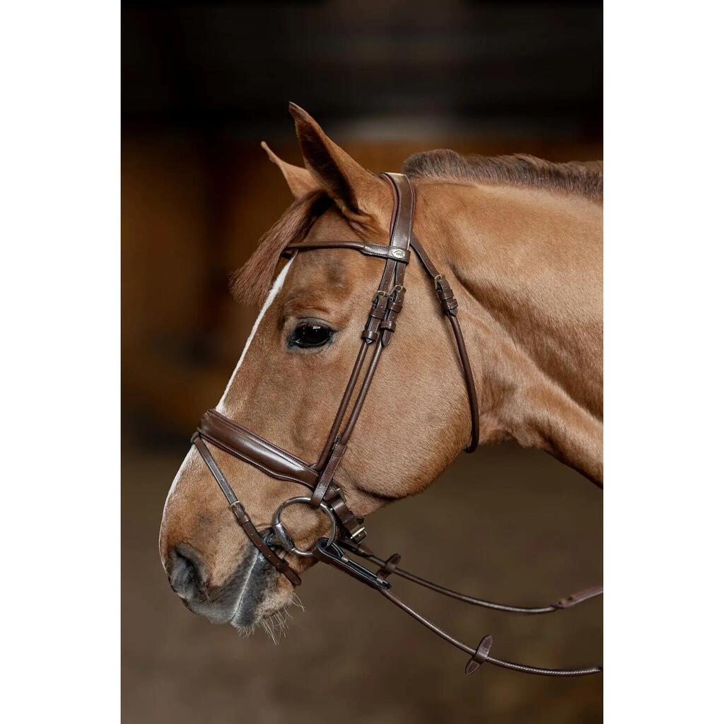 Anatomical riding bridle HFI Round