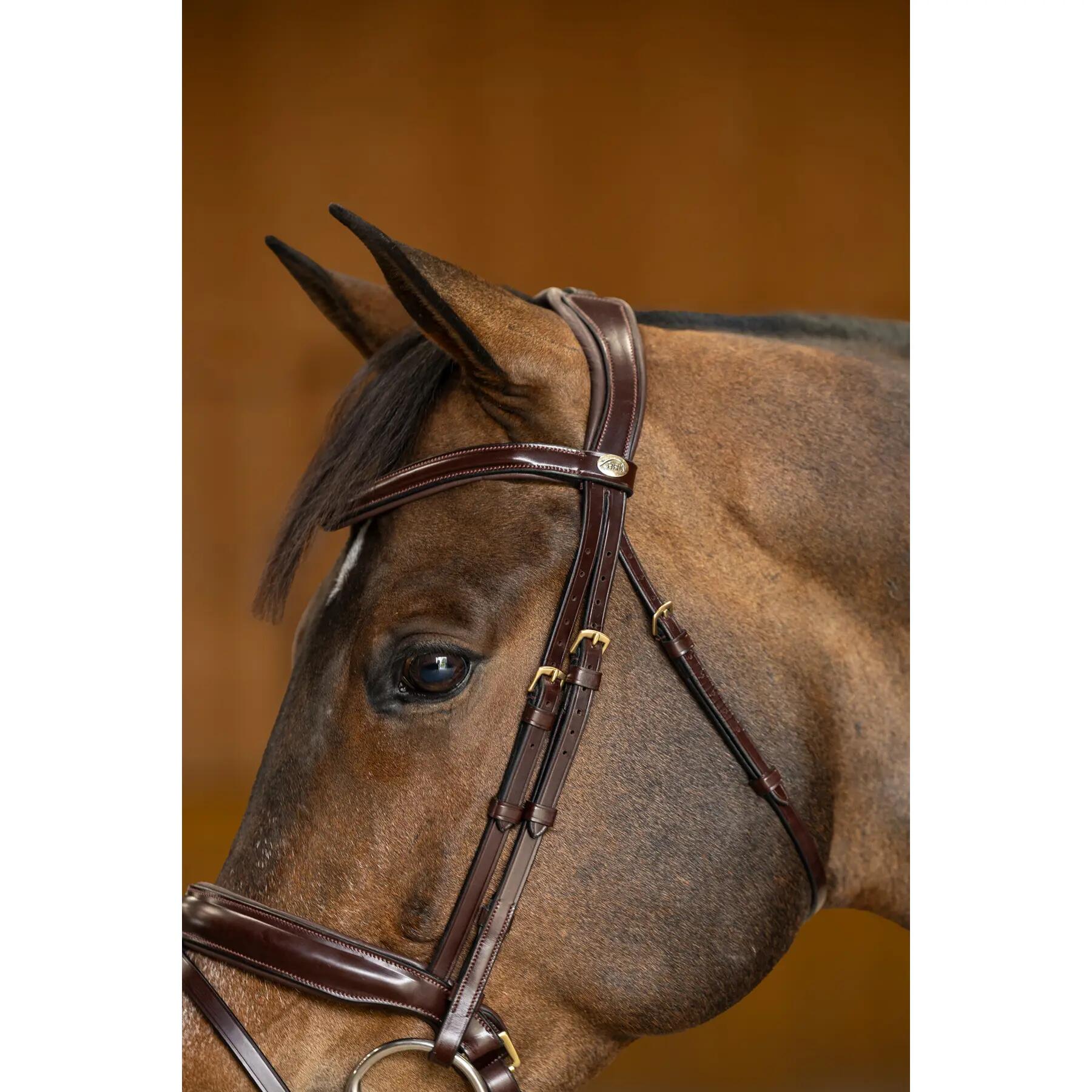 Brida de equitación anatómica pull-back HFI Pro Line Verona 3/5