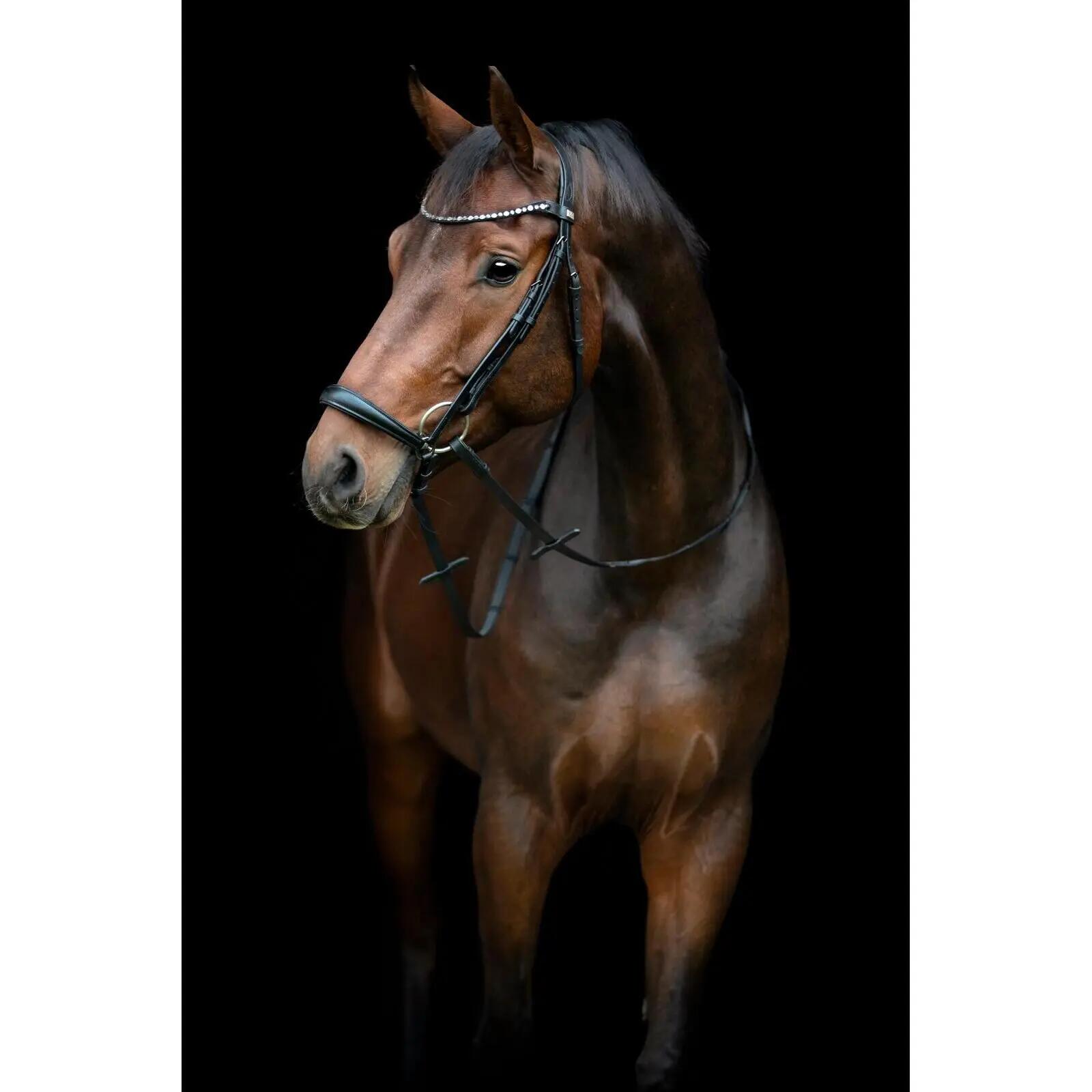 Brida de equitación con muserola caída HorseGuard Cryll 25.2 2/2
