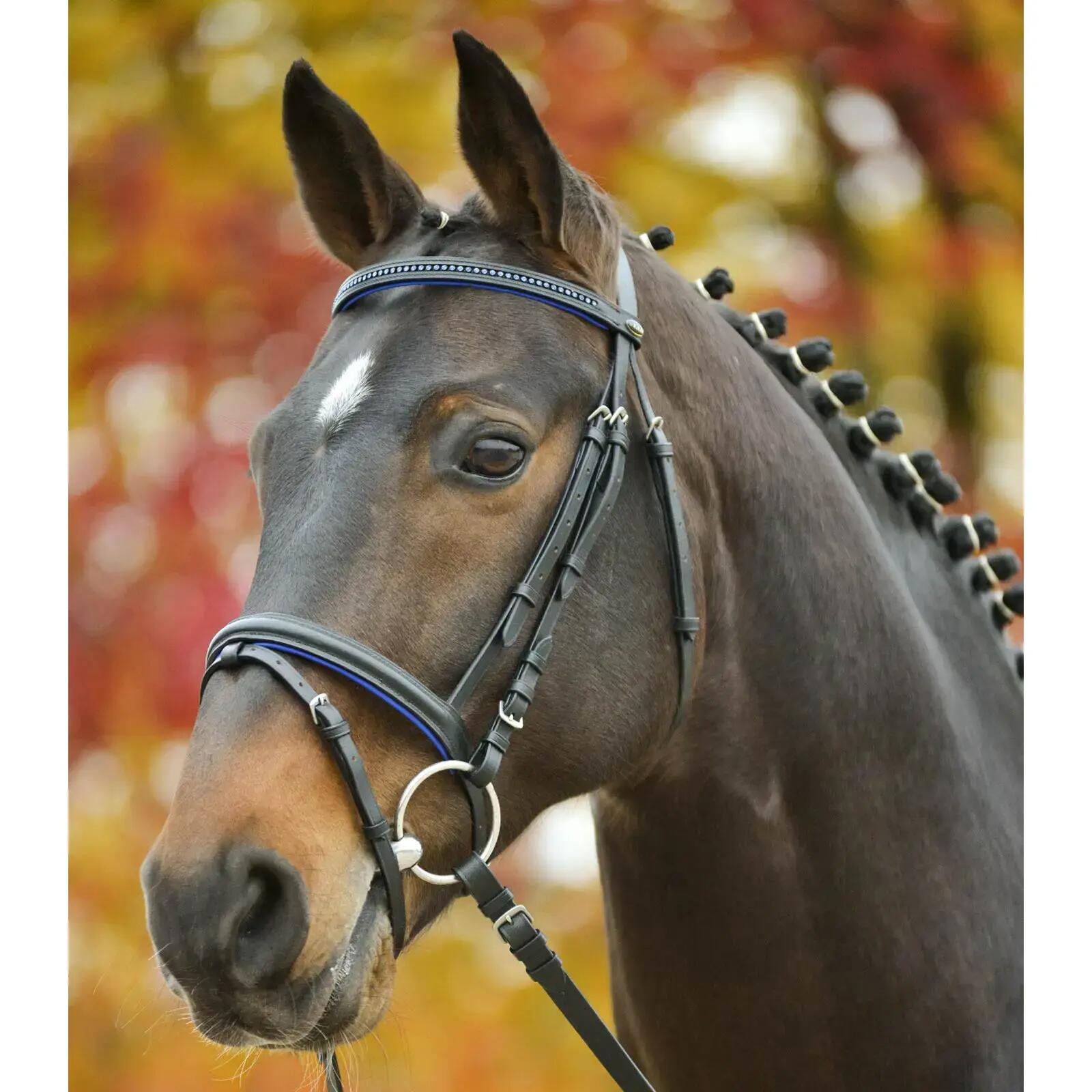 Bridon équitation Star Star Diamond 2/3