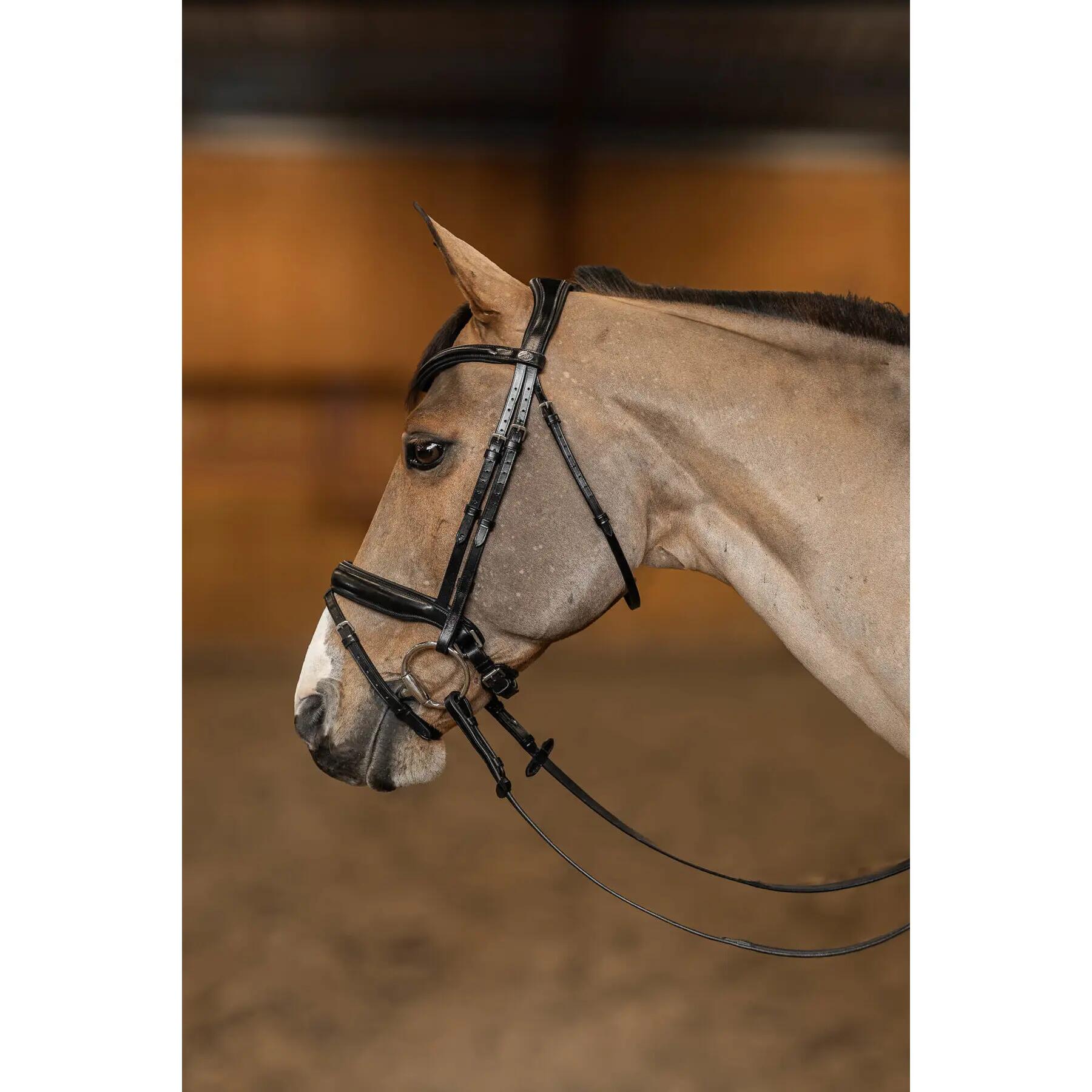 Brida de equitación anatómica pull-back HFI Pro Line Verona 2/4