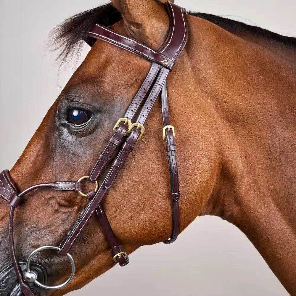 Brida de equitación híbrida anatómica Dy'on Coll 2/5