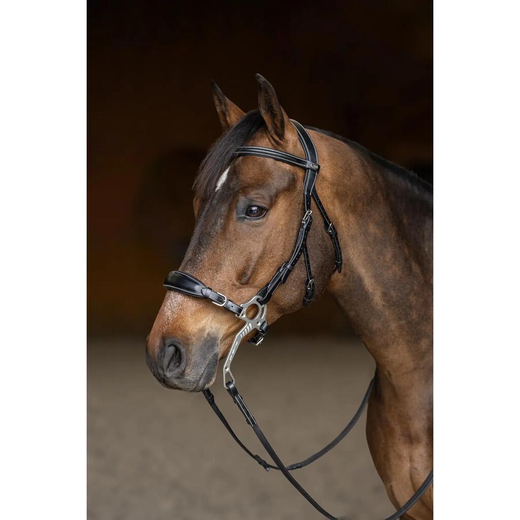 Anatomical riding bridle HFI Hackamore