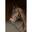 Bridon HFI Hackamore