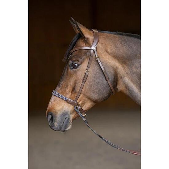 Bridon équitation anatomique sans mors HFI Freedom