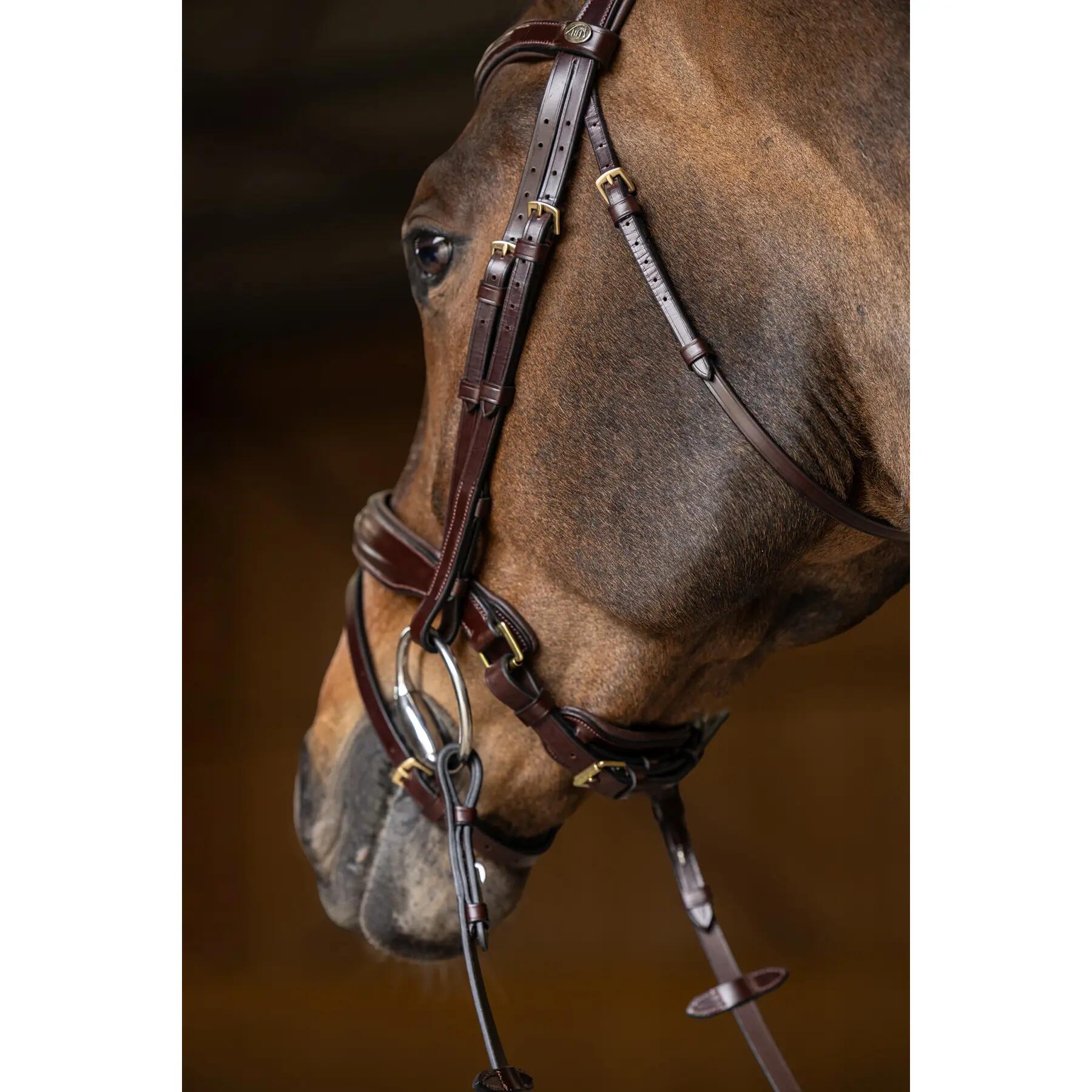 Brida de equitación anatómica pull-back HFI Pro Line Verona 2/5