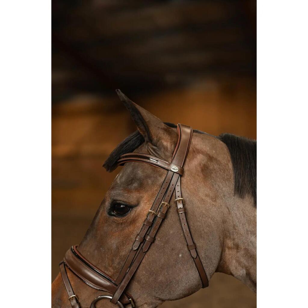 Anatomical riding bridle HFI Edges