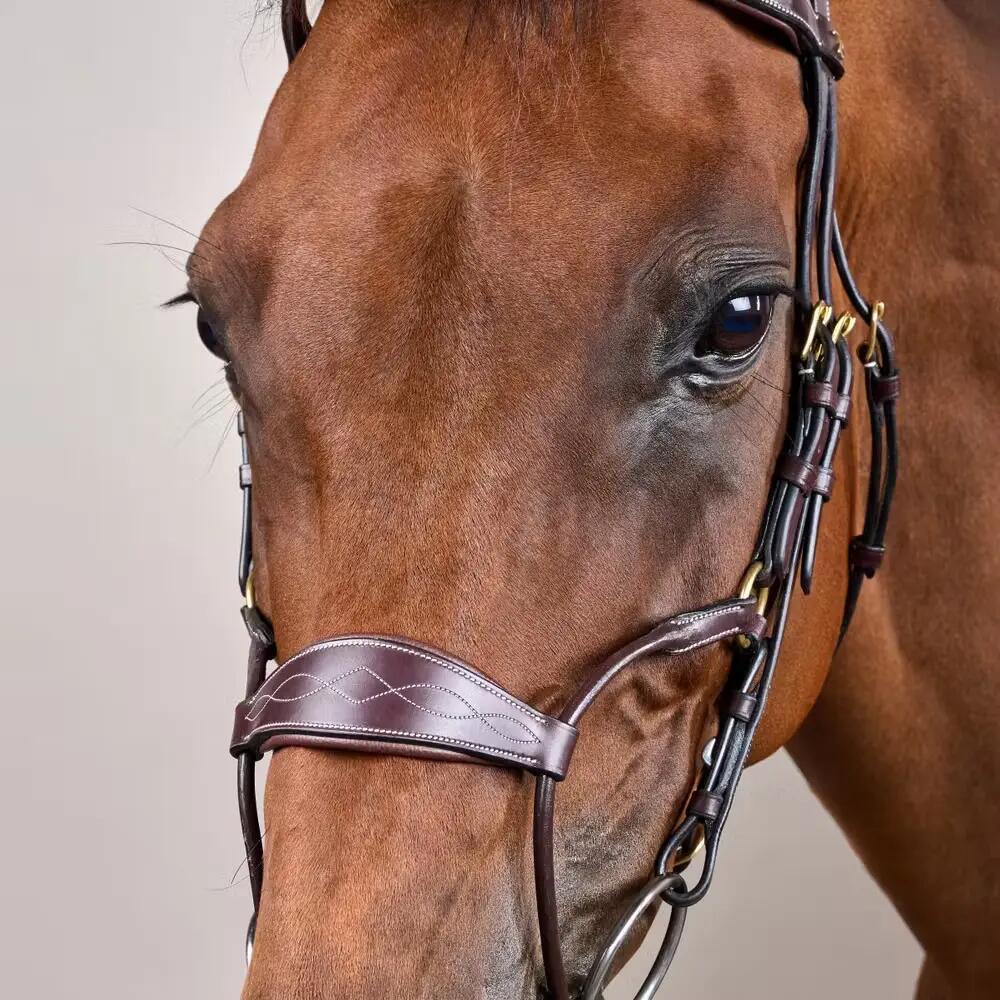 Brida de equitación híbrida anatómica Dy'on Coll 5/5