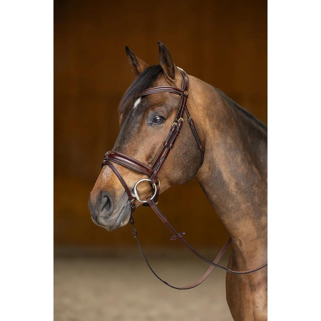 Anatomical pull-back riding bridle HFI Pro Line Verona