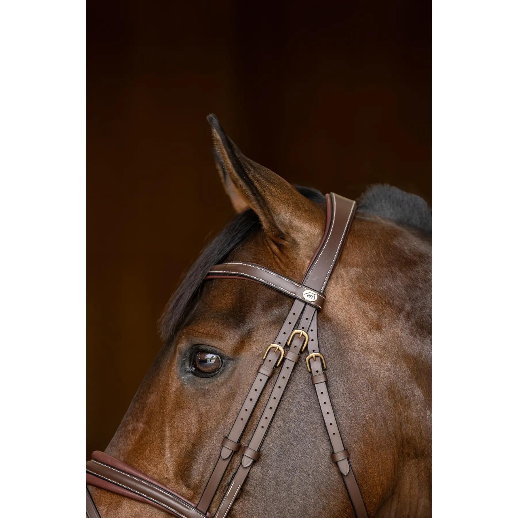 Cabezada anatómica HFI Padded 5/7