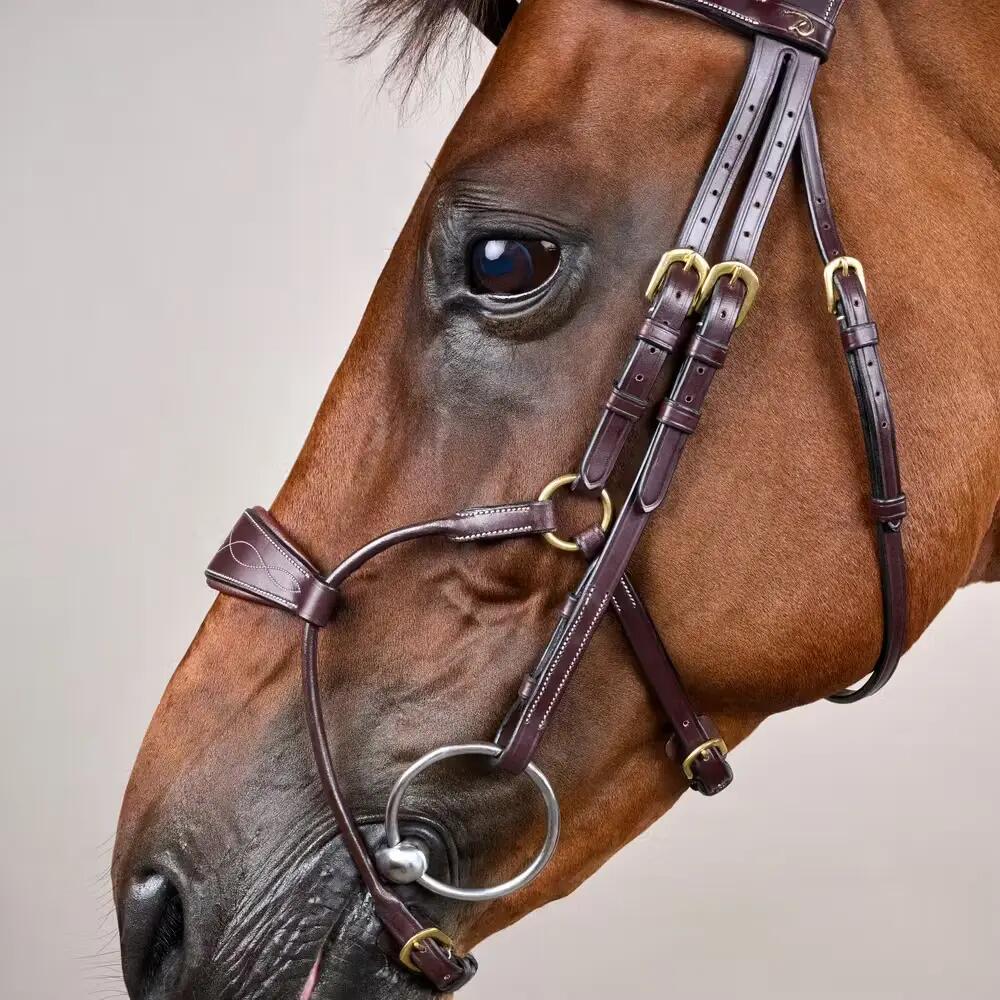 Brida de equitación híbrida anatómica Dy'on Coll 4/5