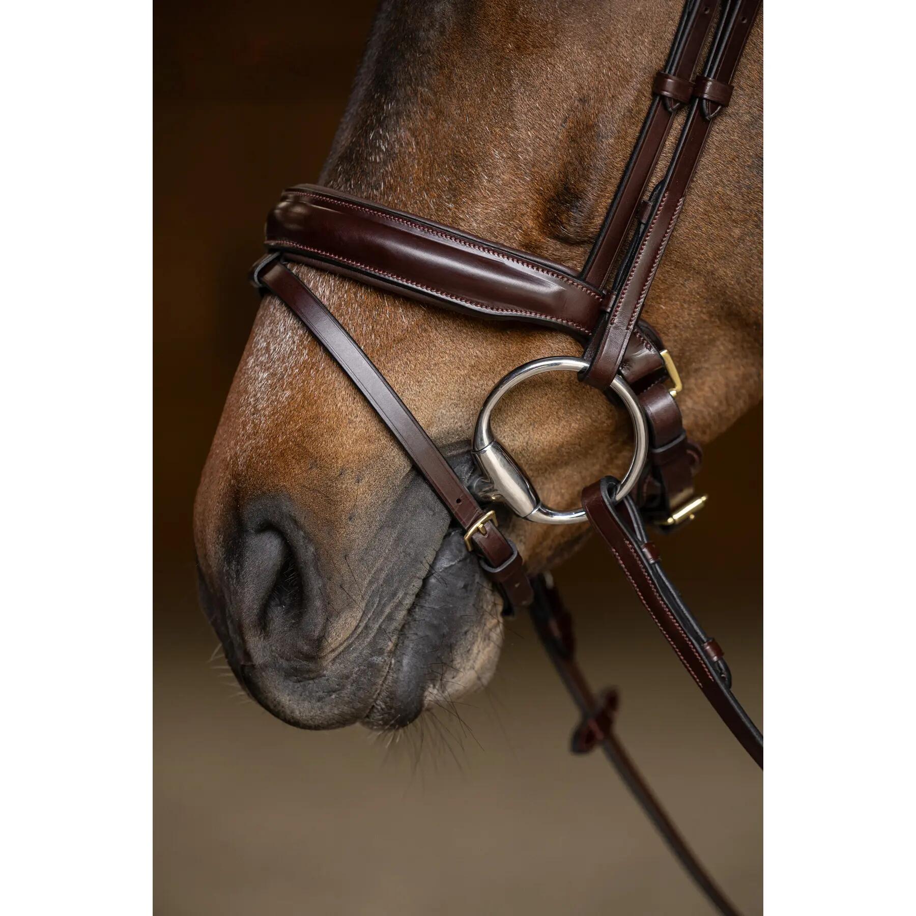Brida de equitación anatómica pull-back HFI Pro Line Verona 4/5