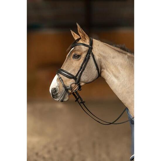 Bridon équitation anatomique HFI Edges